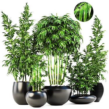 Exquisite Collection of Bamboo Trees 3D model image 1 