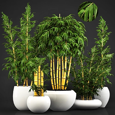 Golden Bamboo Trees: Elegant and Exotic 3D model image 1 