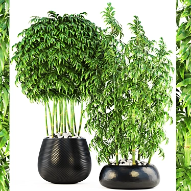 Lush Collection: Bamboo Trees 3D model image 1 