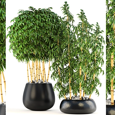 Lush Golden Bamboo Collection: 136 Exquisite Trees 3D model image 1 