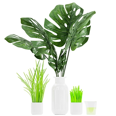 Tropical Indoor Plant Collection 3D model image 1 