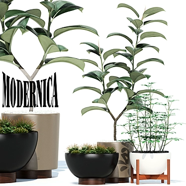 Modernica Pots Collection: 73 Unique Plant Vessels 3D model image 1 