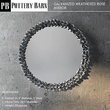 Galvanized Rose-Weathered Mirror 3D model image 1 
