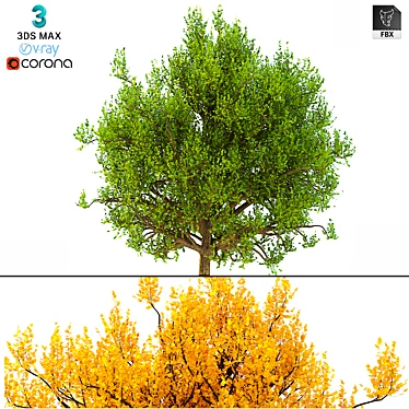 3D Model Bush No. 3: All Seasons 3D model image 1 