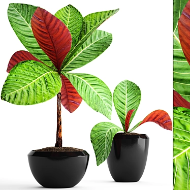 Tropical Plant Collection: Exotic Green Beauty 3D model image 1 