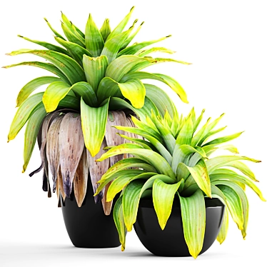 Tropical Jungle Collection: 144 Exotic Plants 3D model image 1 