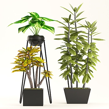 Green Oasis - Indoor Plant Trio 3D model image 1 