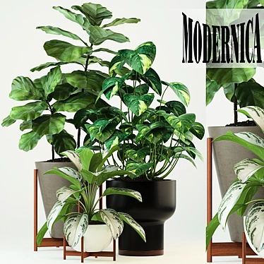 Modernica Pots Collection: 74 Stylish Plant Holders 3D model image 1 
