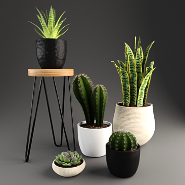 Desert Dreams: Cactus Set 3D model image 1 