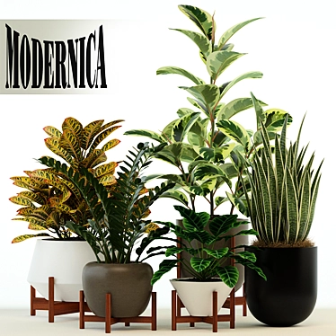 Sleek Collection of 75 Modernica Pots 3D model image 1 