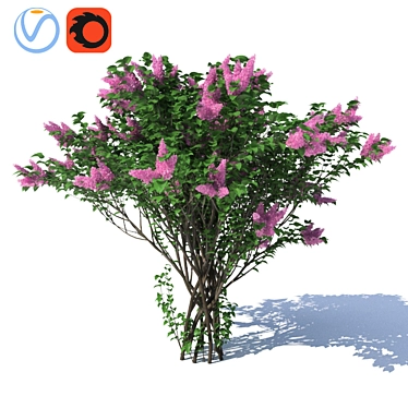 Luscious Lilac Bush: 3500mm Height 3D model image 1 