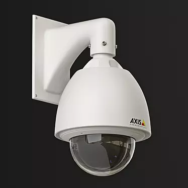 Outdoor Pan-Tilt Dome Camera 3D model image 1 