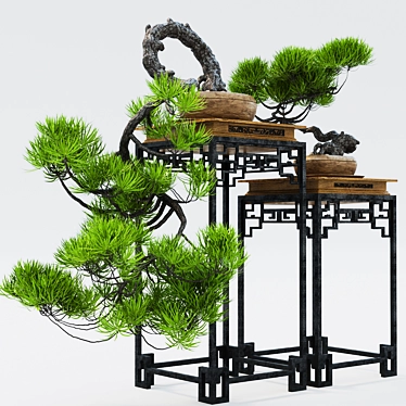 Decorative Bonsai Plant 3D model image 1 