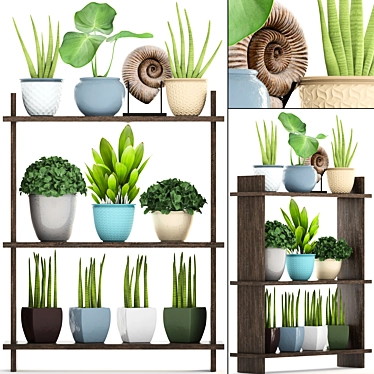 Tropical Plant Collection: Sansevieria, Palm Grass & More 3D model image 1 