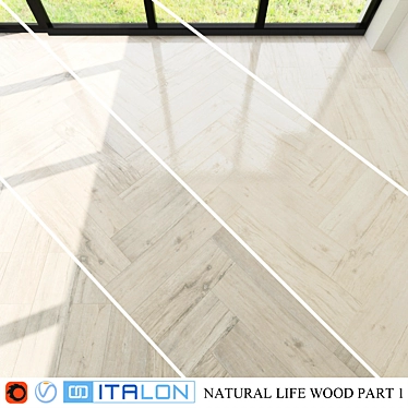 Italon Natural Wood Collection: Ash & Nordic 22.5x90 3D model image 1 
