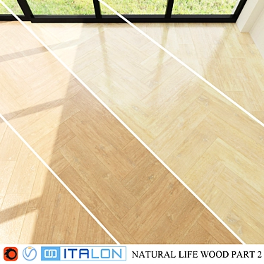 Italon Natural Life Wood Ceramic Tiles 3D model image 1 