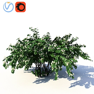 Chubushnik (Jasmine) Shrub - Versatile and Detailed 3D model image 1 