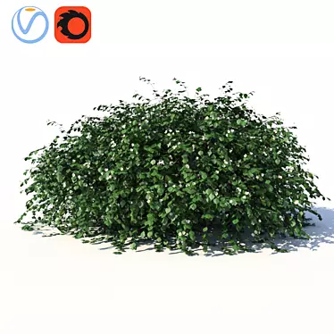 Title: Jasmine Bush with Ground-Lying Branches 3D model image 1 