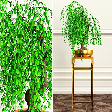 Green Oasis: 18 Beautiful Plants 3D model image 1 