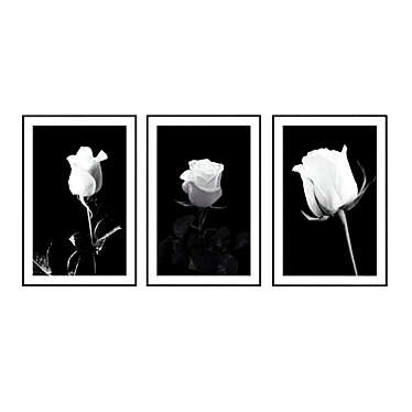 Monochrome Elegance: Black and White Rose Posters 3D model image 1 