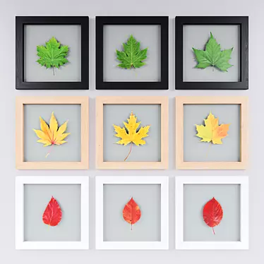 Leaves in glass in wooden frames