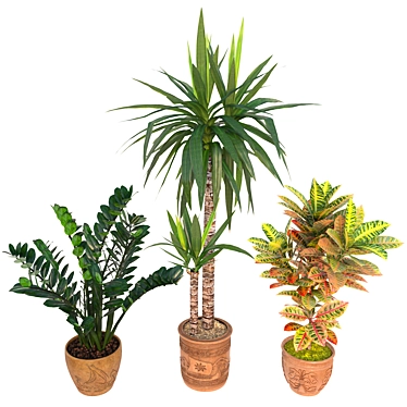 Houseplants