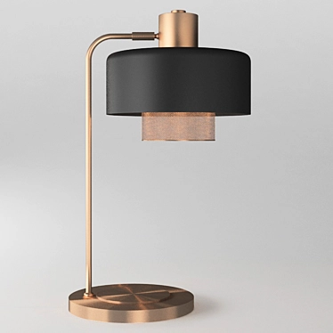 Bacote Copper Table Lamp 3D model image 1 