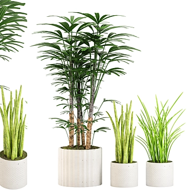 Lush Green Collection: Palm, Sensavia & Grass Pot 3D model image 1 