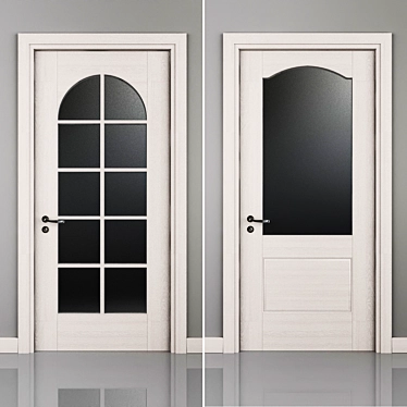 Stylish Door_4 for a Modern Home 3D model image 1 