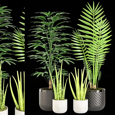 27 Plant Set with Beautiful Pot 3D model image 1 