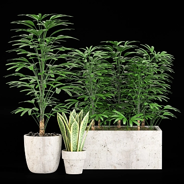 28-Piece Indoor Plant Set 3D model image 1 