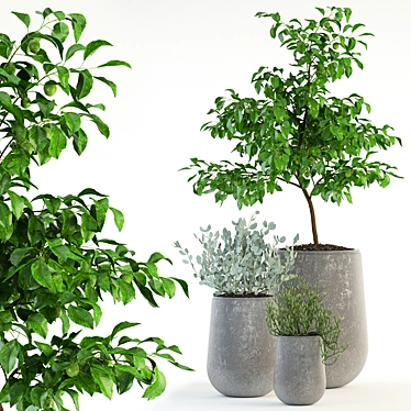 Garden Haven: 82 Lush Plant Pots 3D model image 1 