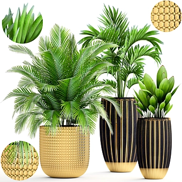 Tropical Plant Mix: Areca Palm, Howea, Kentia, Phoenix 3D model image 1 