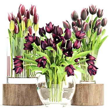 Spring Blooms: Collection of Tulips 3D model image 1 