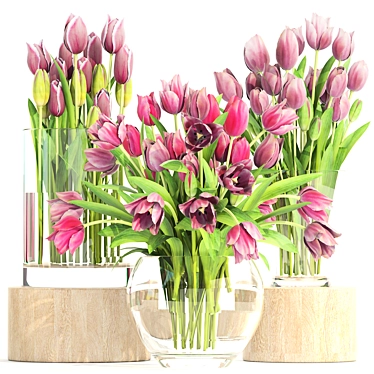 Tulip Trio in Glass Vases 3D model image 1 