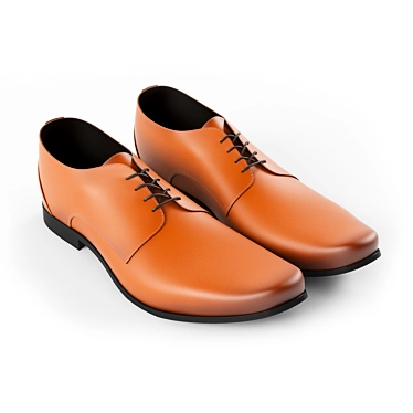 Durable Leather Shoes: High-quality and Stylish 3D model image 1 