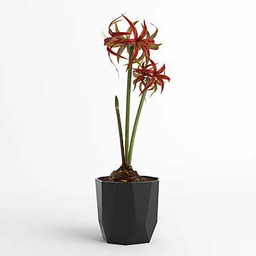  Elegant Amaryllis Flower in ELHO Pot 3D model image 1 