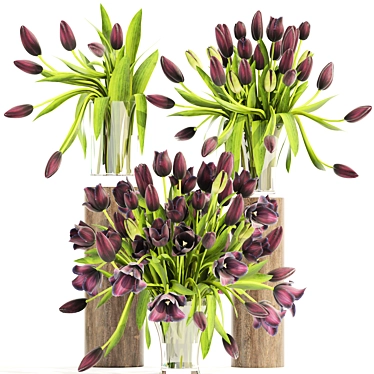 Spring Tulip Bouquet Collection 3D model image 1 