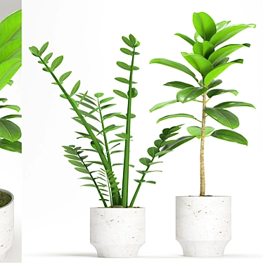  Elegant Indoor Plant Set 3D model image 1 