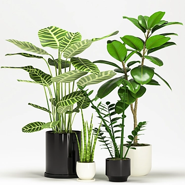 Exquisite Indoor Plant Collection 3D model image 1 