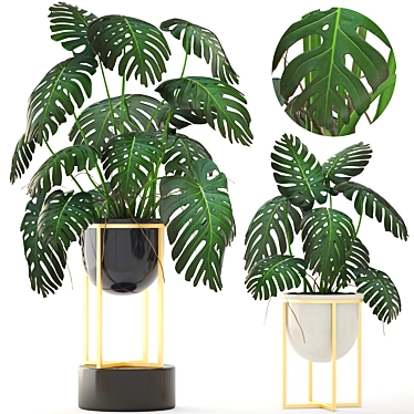 Luxury Gold Monstera Planter 3D model image 1 