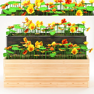 36 Plant: Indoor & Outdoor Garden Nasturtium 3D model image 1 