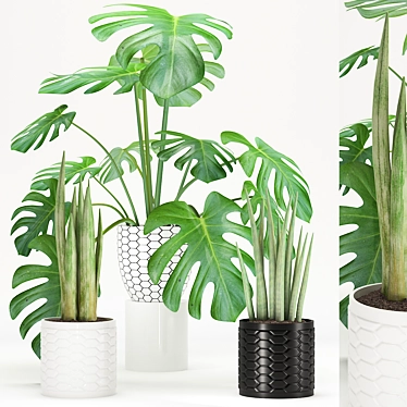 Lush Greenery Bundle: 40 Plants 3D model image 1 