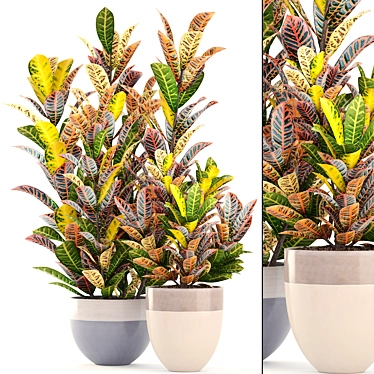 Bloomingville Terracotta Collection: Croton in Pot 3D model image 1 