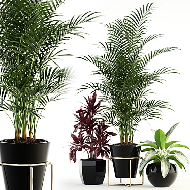 Botanical Bliss: Delightful Plants Collection 3D model image 1 