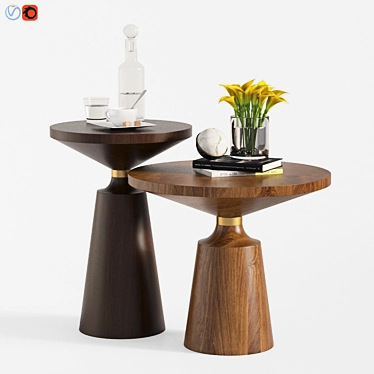 Nicole Modern Oak Coffee Table Set 3D model image 1 