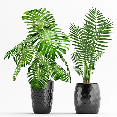 Geometric Palm & Monstera Combo 3D model image 1 