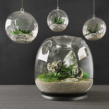 Elegant Terrarium Set: Enhance Your Interior 3D model image 1 