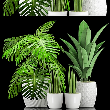 Geometric Pot Plant Trio 3D model image 1 