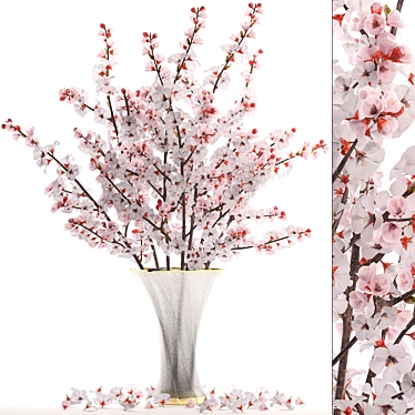 Cherry Blossom Delight: 24 White Blooms 3D model image 1 